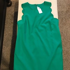 NWT J Crew scalloped trim dress